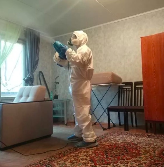 дезинсекция квартиры в Инкермане